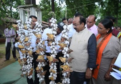*प्रमाणित बीज उत्पादन एक लाभकारी व्यवसाय_: पंजीयन की अंतिम तिथि 31 अगस्त*
