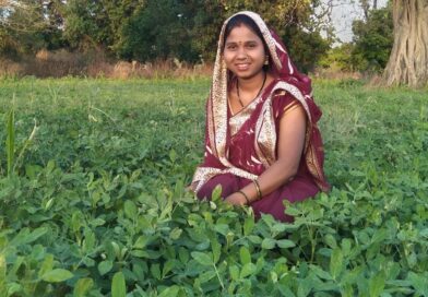 *बालको की पहल से मूंगफली बनी किसानों की आय बढ़ाने का सशक्त माध्यम*